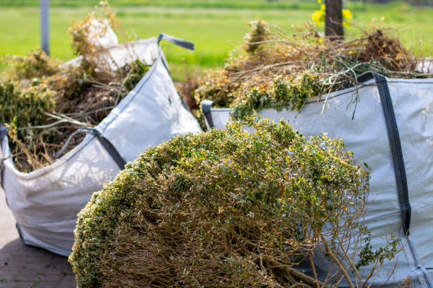 Best Electronics Removal Services  in Utica, MI